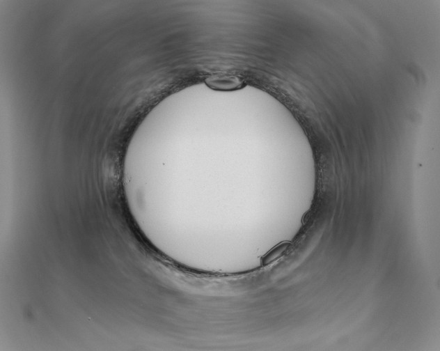 X0000112360040200909031919