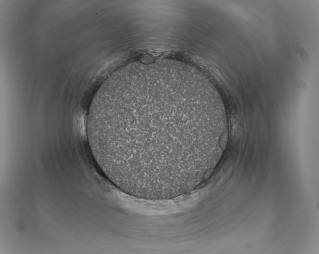 X0000112360042200909031919
