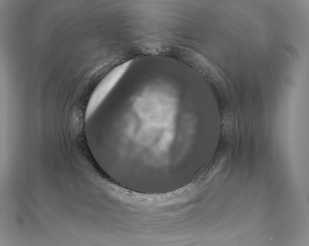 X0000112360043200909031919