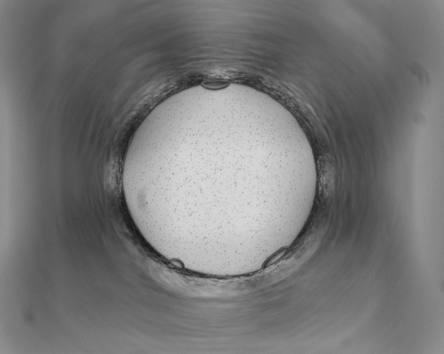X0000112360044200909031919