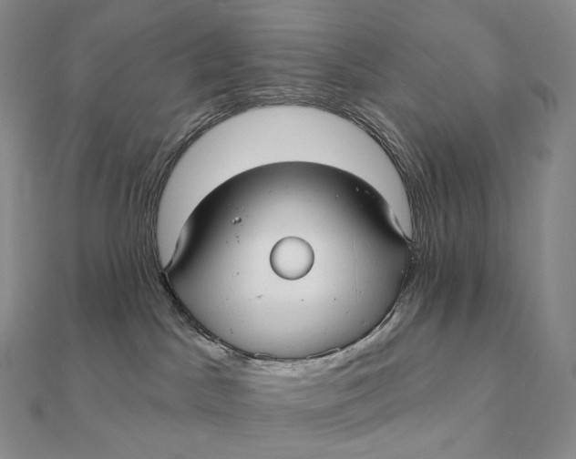 X0000112360045200909031919