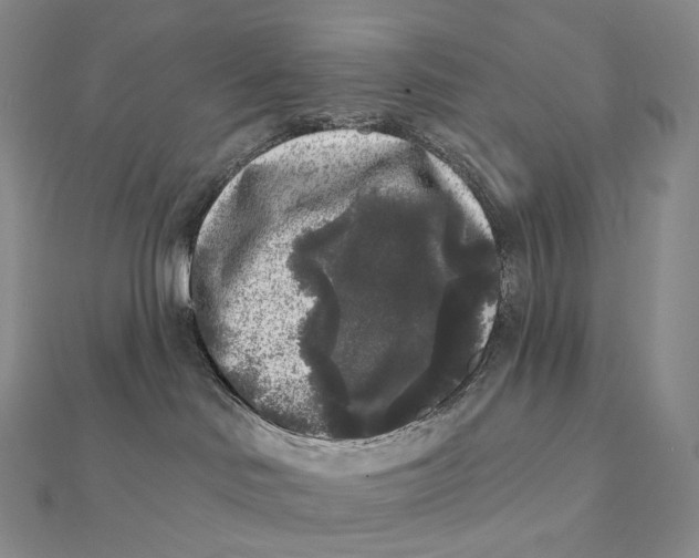 X0000112360046200909031919
