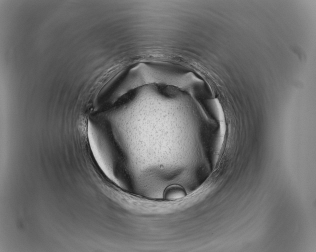 X0000112360048200909031919