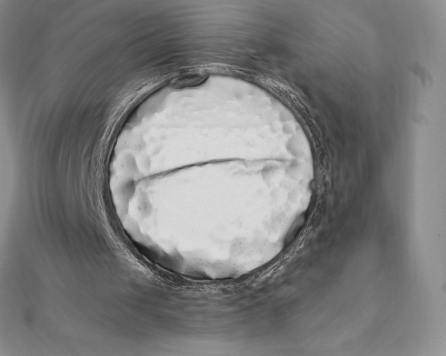 X0000112360049200909031918