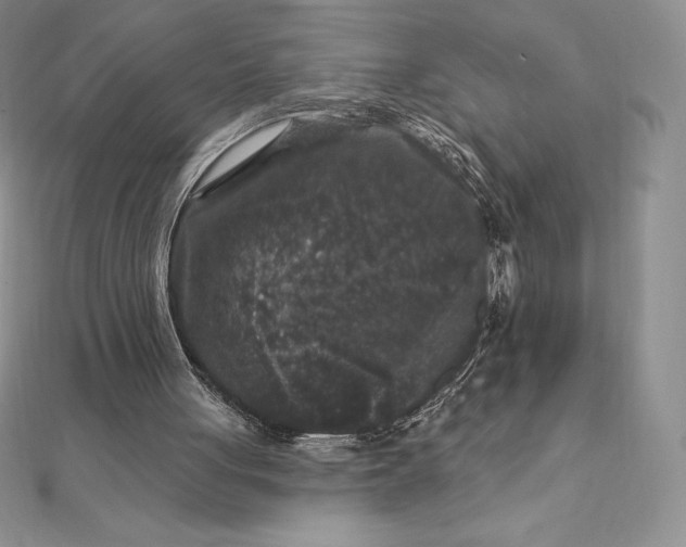 X0000112360051200909031918