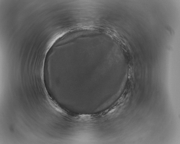 X0000112360052200909031918