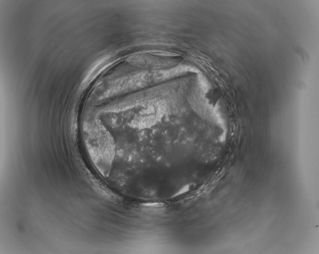 X0000112360053200909031918