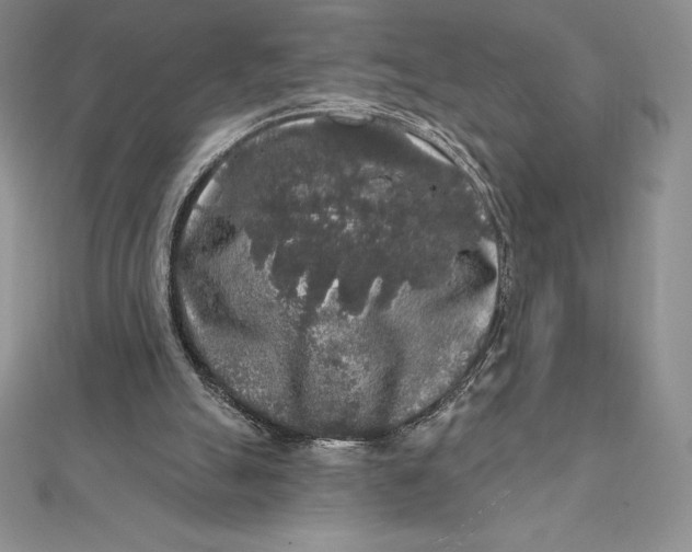 X0000112360055200909031918