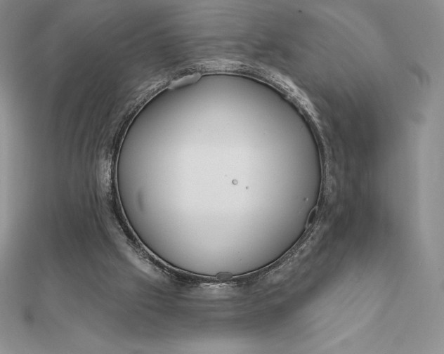 X0000112360057200909031918