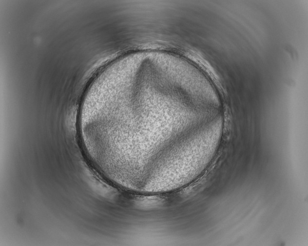 X0000112360058200909031918