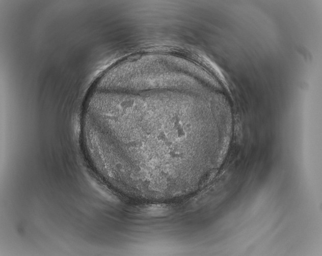 X0000112360059200909031918
