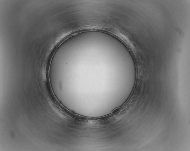 X0000112360060200909031918