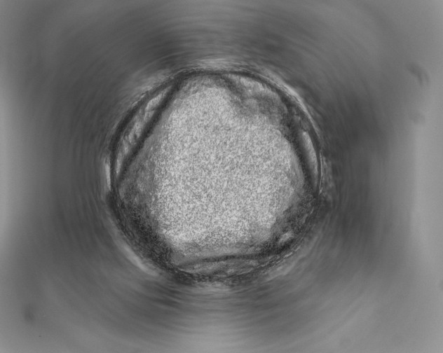 X0000112360061200909031918