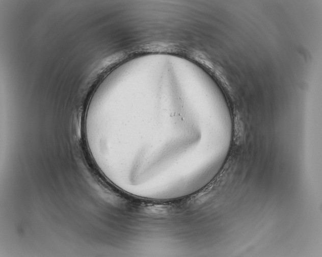 X0000112360062200909031918