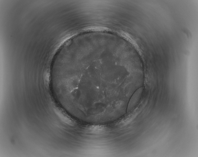 X0000112360063200909031918