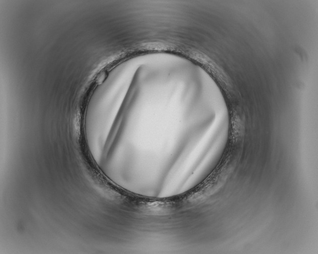 X0000112360064200909031918
