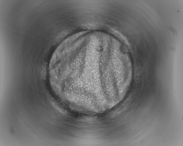 X0000112360065200909031918