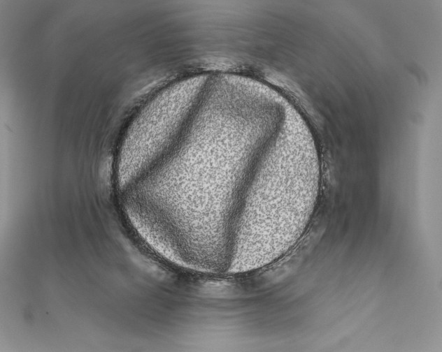 X0000112360066200909031918