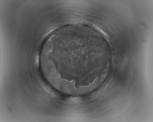 X0000112360067200909031918