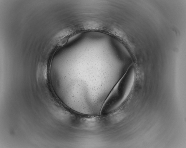 X0000112360068200909031918