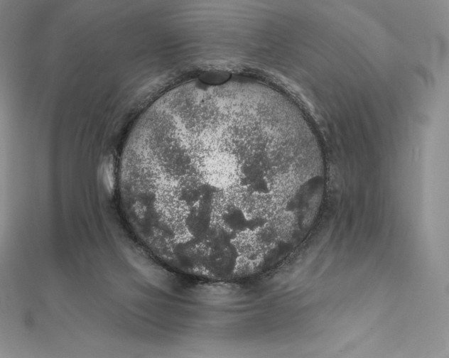 X0000112360069200909031918