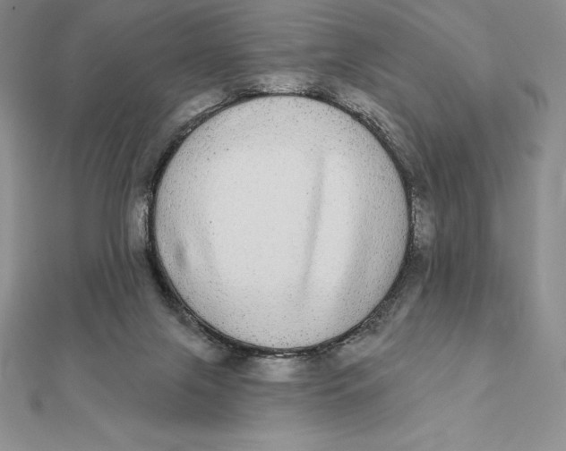 X0000112360071200909031919