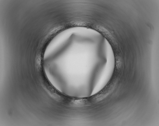 X0000112360072200909031919
