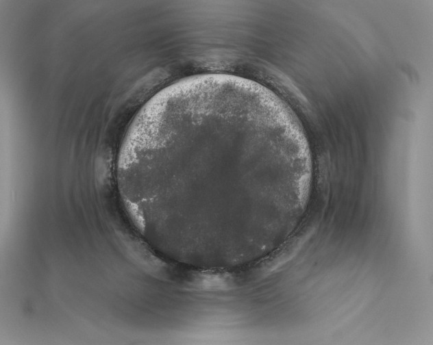 X0000112360073200909031919