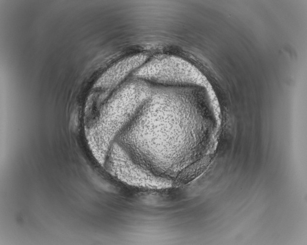 X0000112360074200909031919