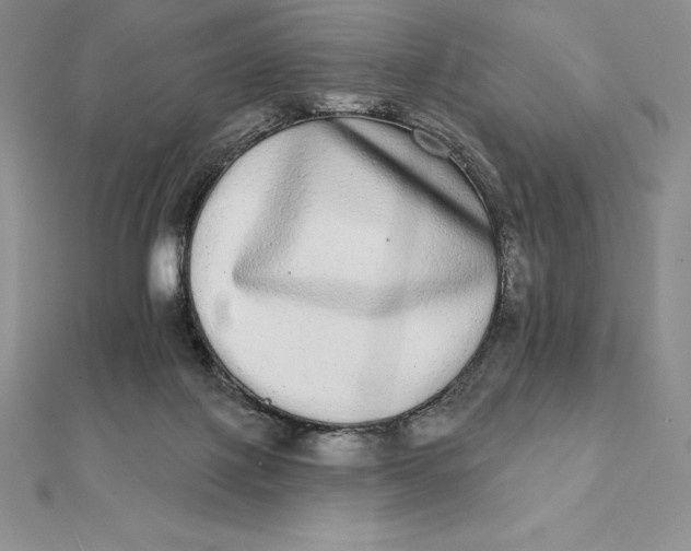 X0000112360075200909031919