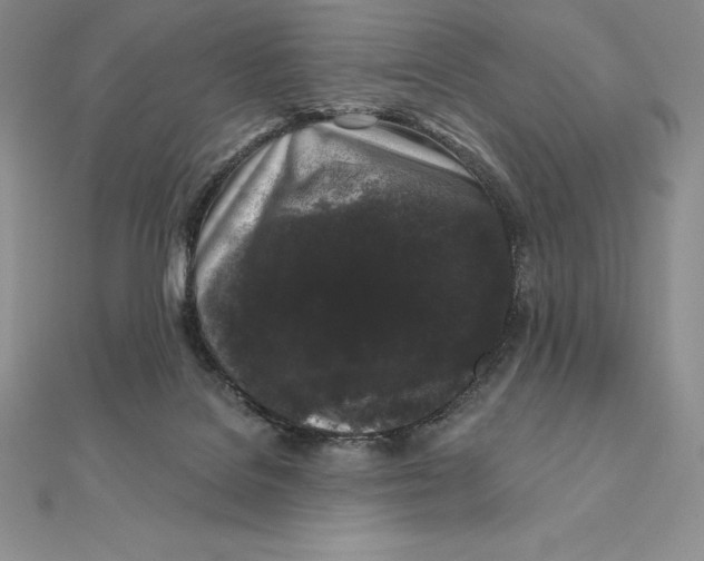 X0000112360076200909031919