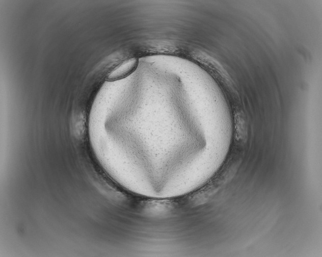 X0000112360077200909031919