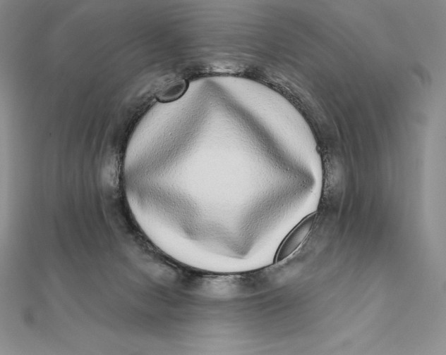 X0000112360078200909031919