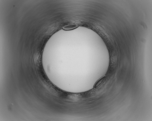 X0000112360079200909031919
