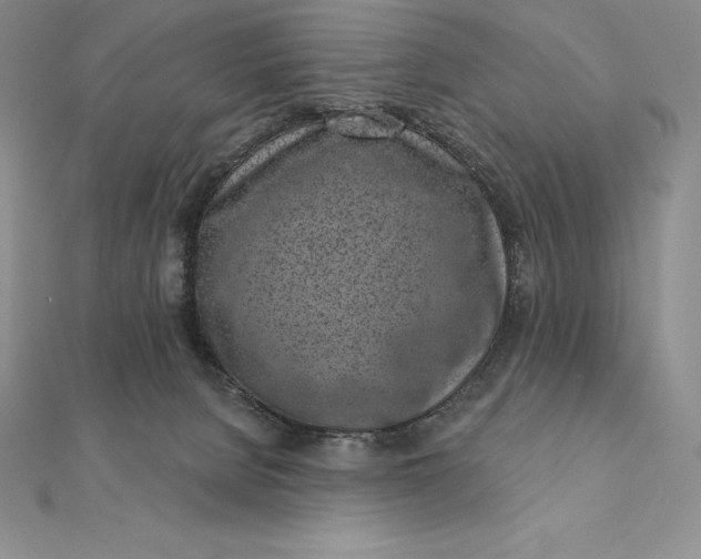 X0000112360080200909031919