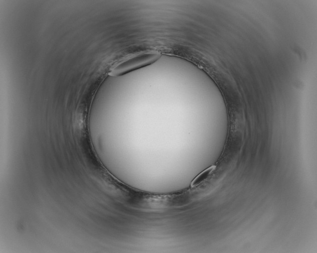 X0000112360084200909031919