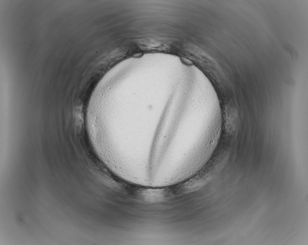 X0000112360085200909031919