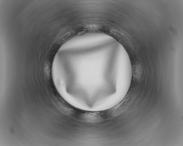 X0000112360086200909031919