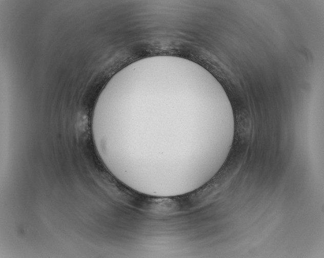 X0000112360087200909031919