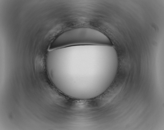 X0000112360088200909031919