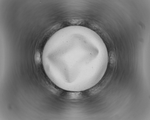X0000112360089200909031919