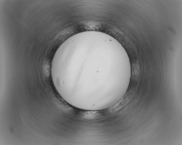 X0000112360090200909031919