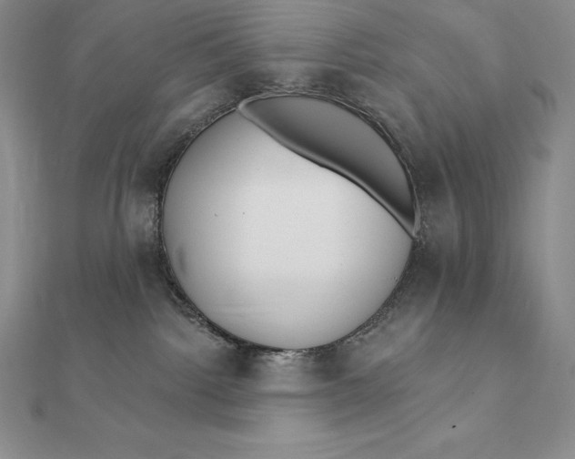 X0000112360092200909031919