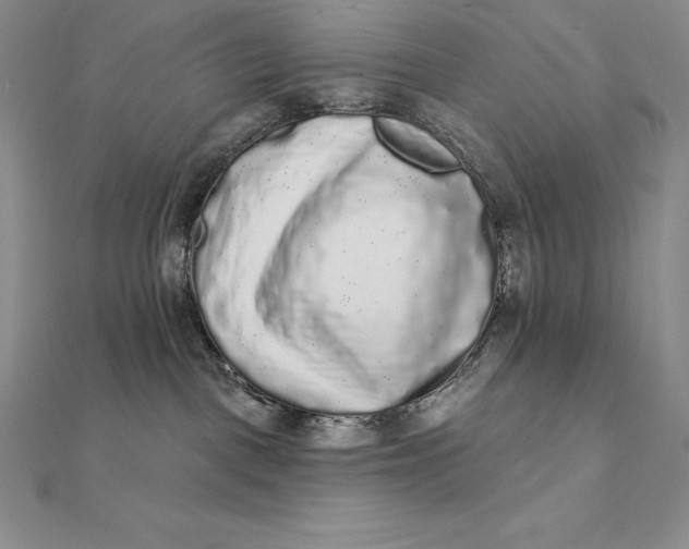 X0000112360093200909031919
