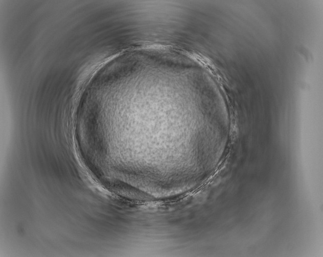 X0000112360097200909031918
