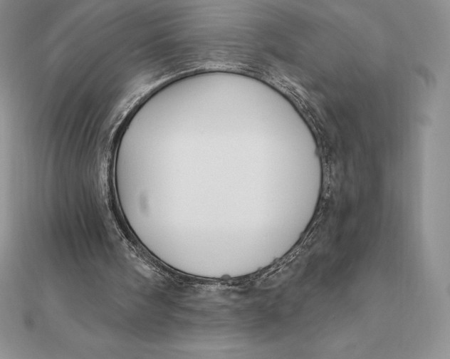 X0000112360098200909031918
