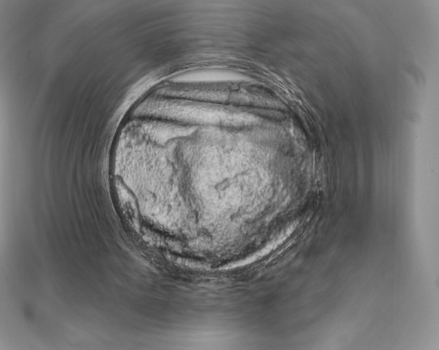X0000112360099200909031918
