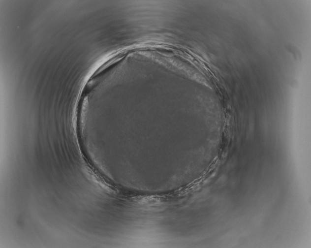 X0000112360100200909031918
