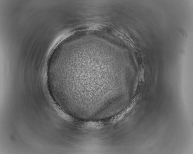 X0000112360101200909031918