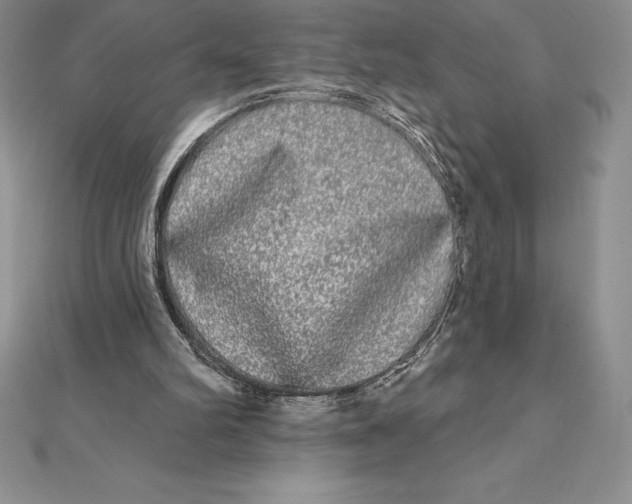 X0000112360102200909031918